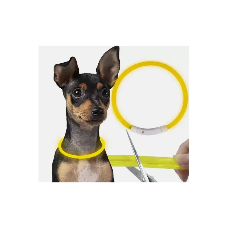 Collare regolabile con luce led