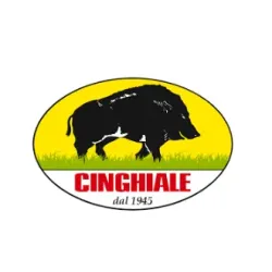 PENNELLI CINGHIALE